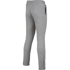 Tecnifibre TEAM PANTS SILVER><noscript><img width=