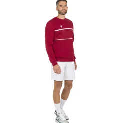 Tecnifibre TEAM SWEATER CARDINAL>Homme Sweats & Vestes