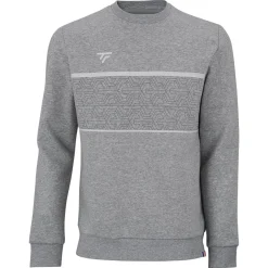 Tecnifibre TEAM SWEATER SILVER>Homme Sweats & Vestes
