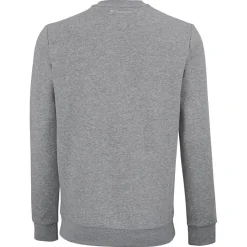 Tecnifibre TEAM SWEATER SILVER JUNIOR> Sweats & Vestes
